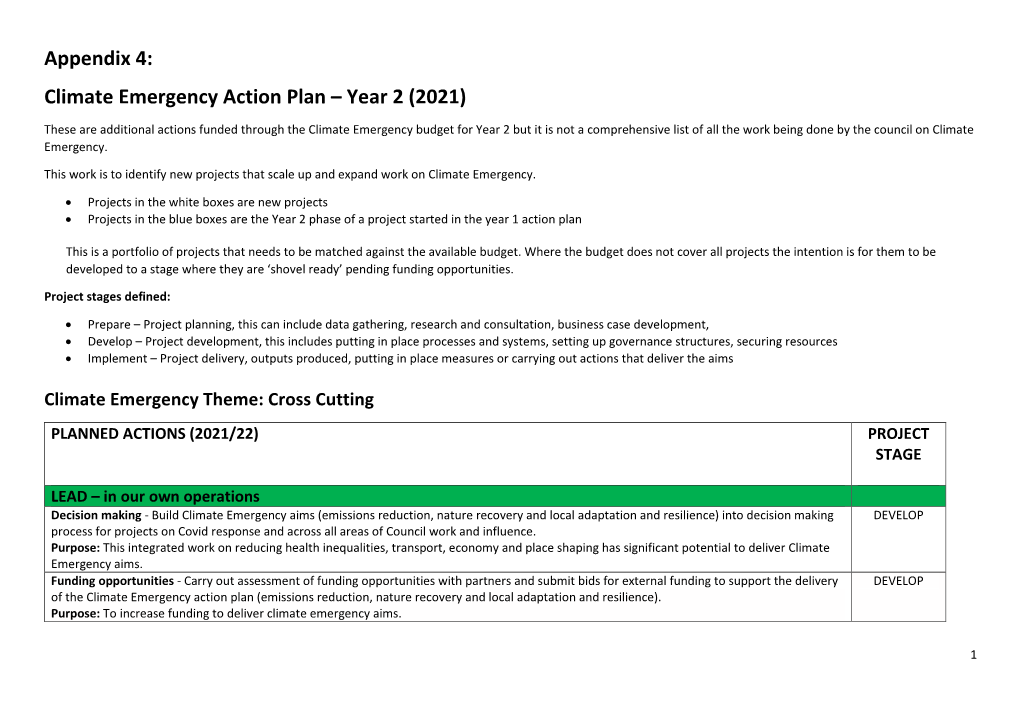 Climate Emergency Action Plan – Year 2 (2021)