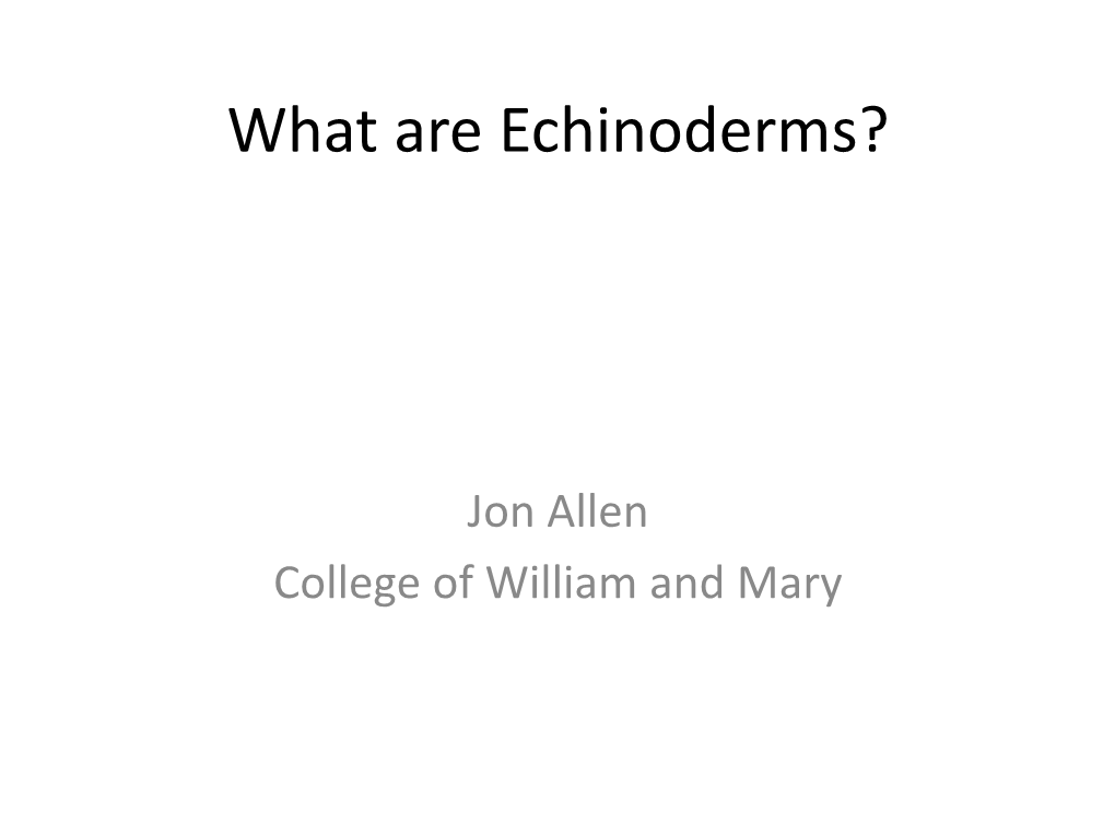 What Are Echinoderms?