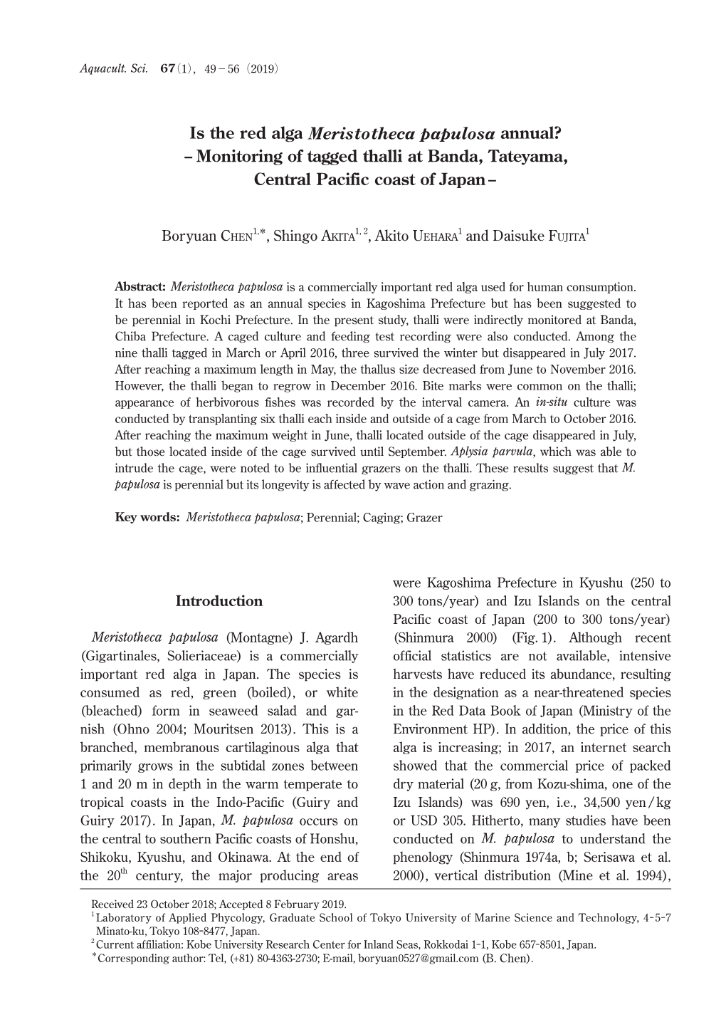 Is the Red Alga Meristotheca Papulosa Annual? -Monitoring Of