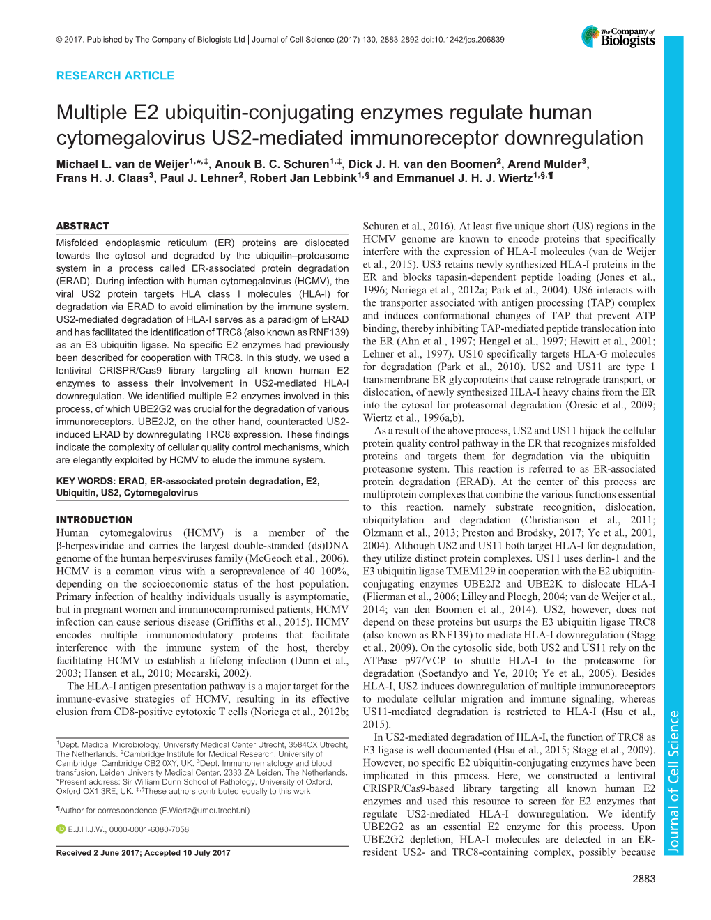 Multiple E2 Ubiquitin-Conjugating Enzymes Regulate Human Cytomegalovirus US2-Mediated Immunoreceptor Downregulation Michael L