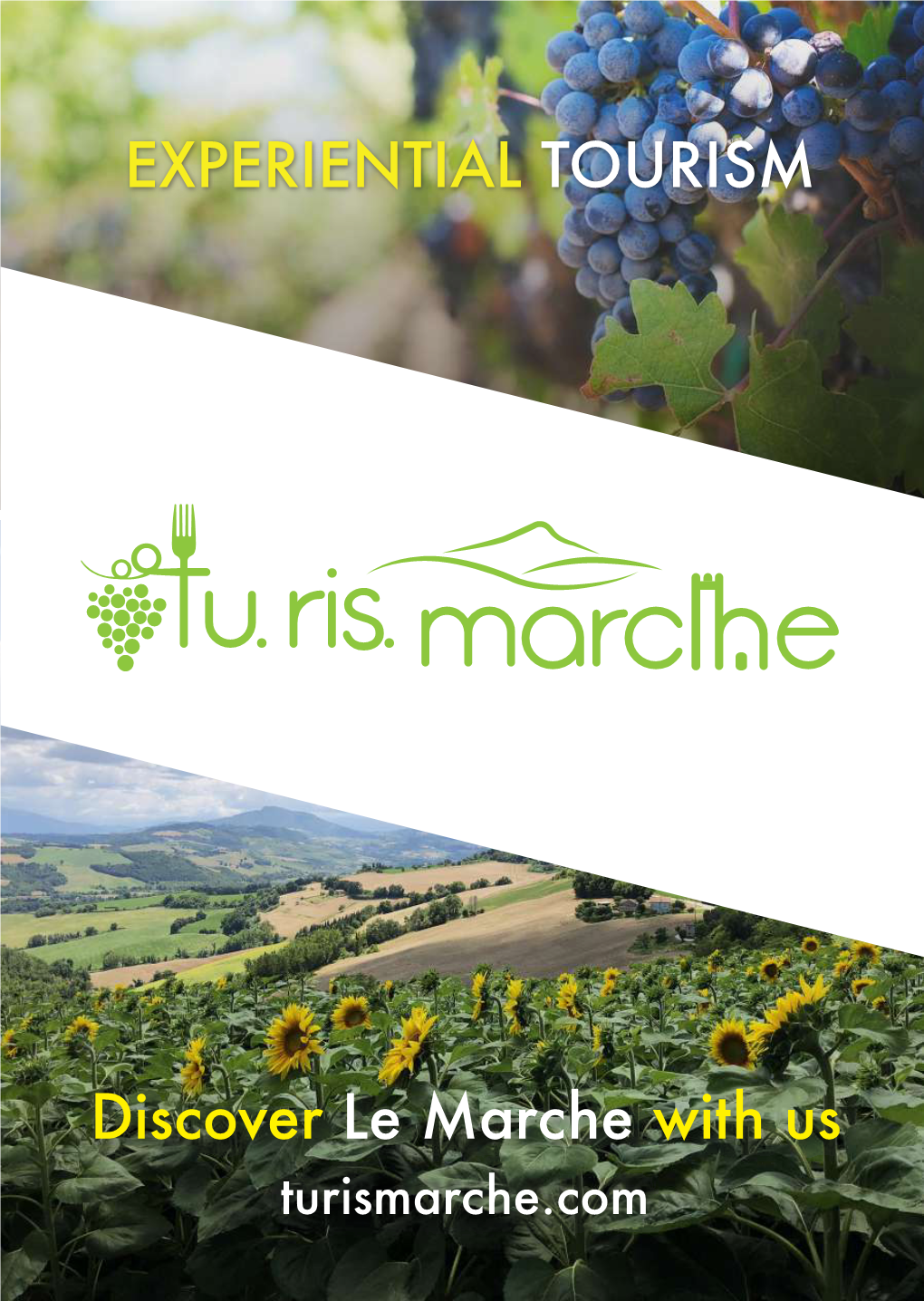 Discover Le Marche with Us EXPERIENTIAL TOURISM