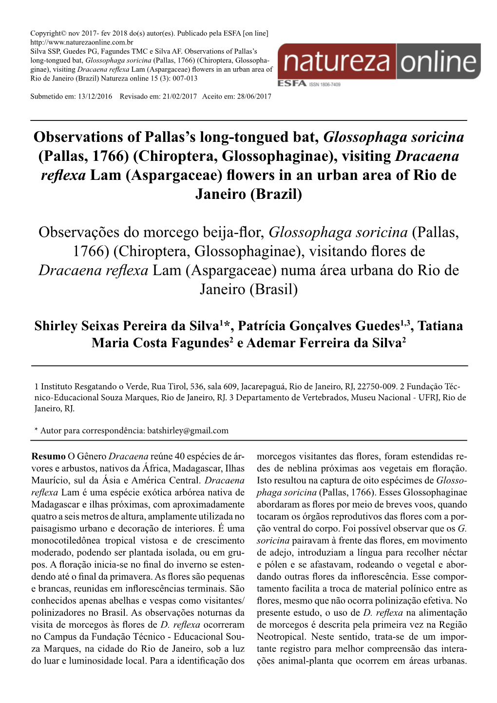 Observations of Pallas's Long-Tongued Bat, Glossophaga Soricina