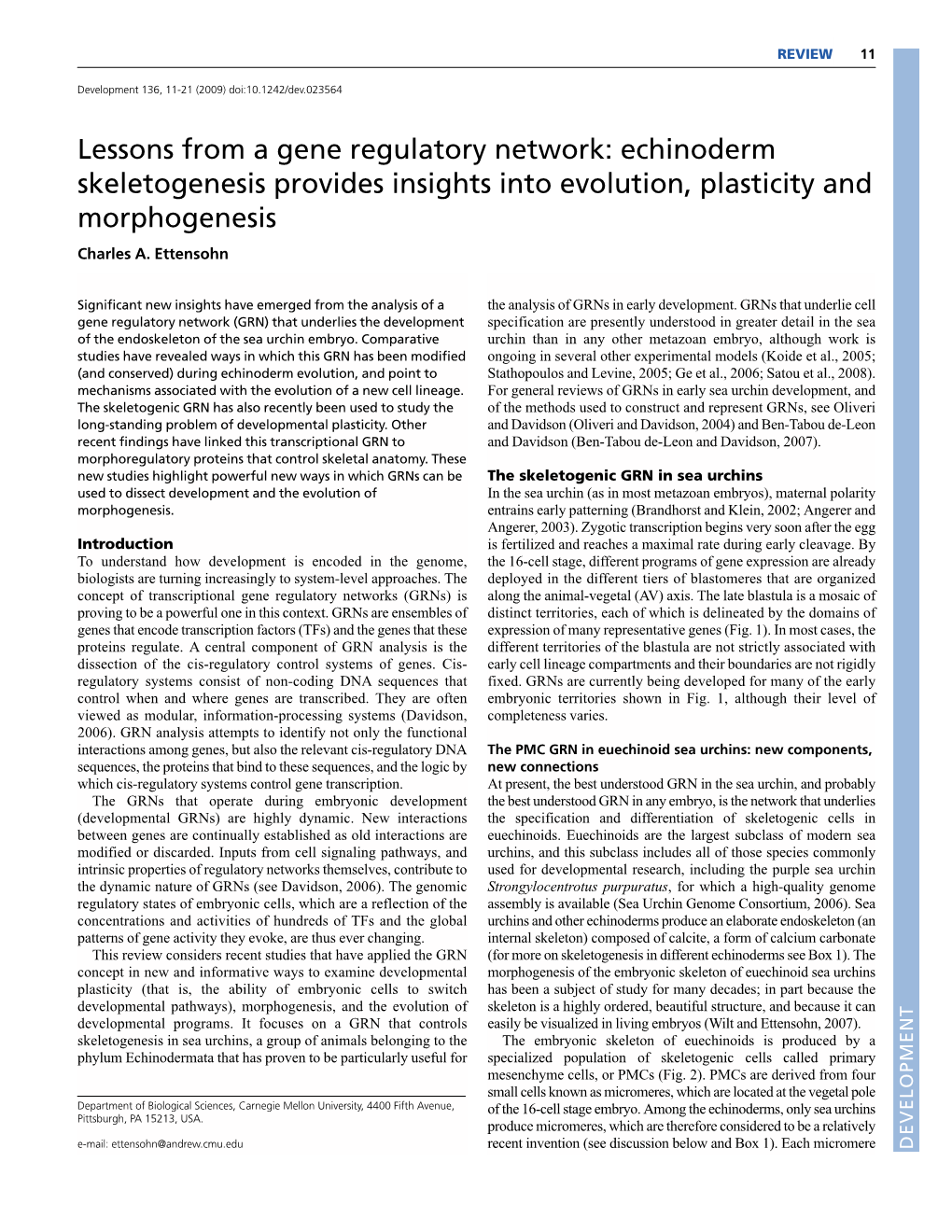 Lessons from a Gene Regulatory Network: Echinoderm Skeletogenesis Provides Insights Into Evolution, Plasticity and Morphogenesis Charles A