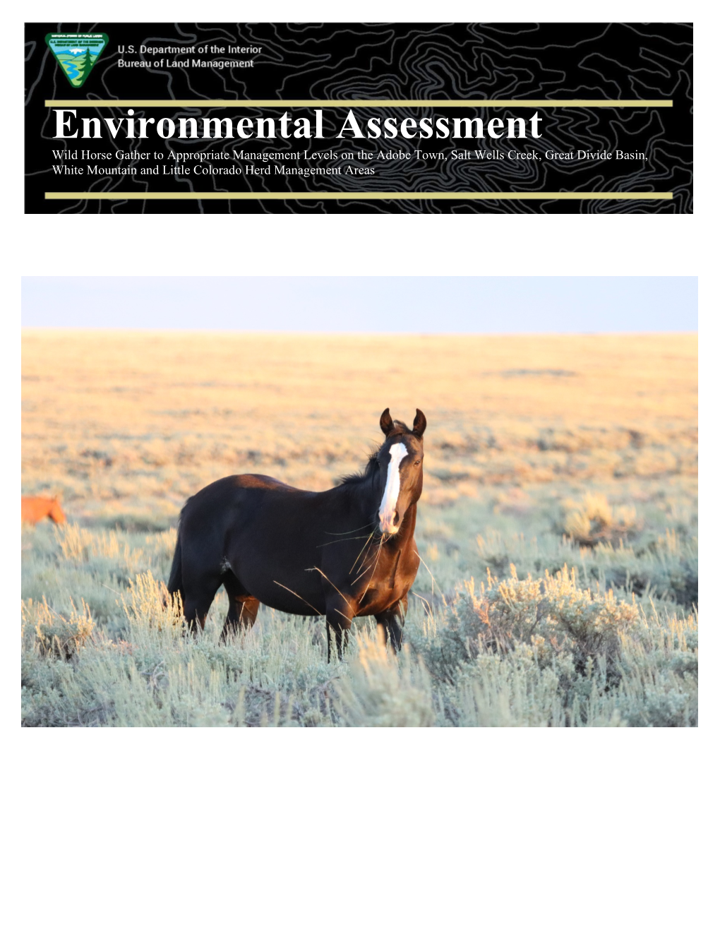 Environmental Assessment