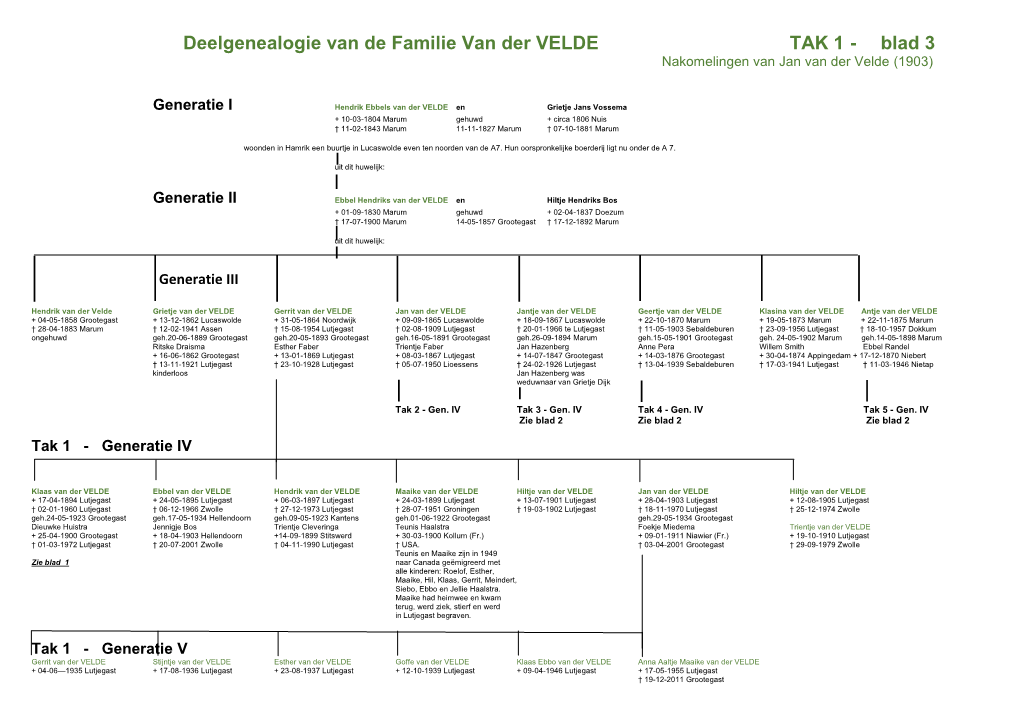 Deelgenealogie Van De Familie Van Der VELDE TAK 1 - Blad 3 Nakomelingen Van Jan Van Der Velde (1903)