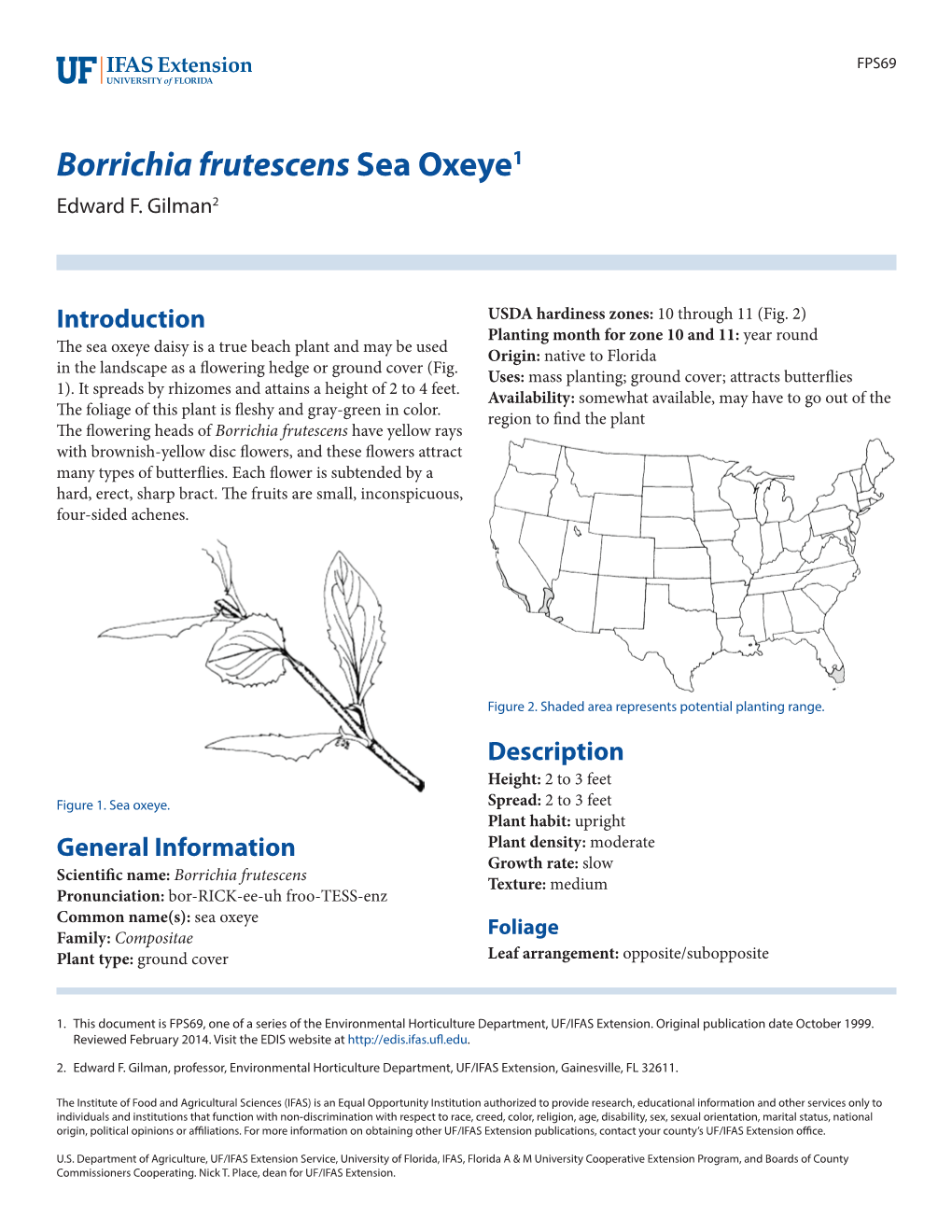 Borrichia Frutescens Sea Oxeye1 Edward F