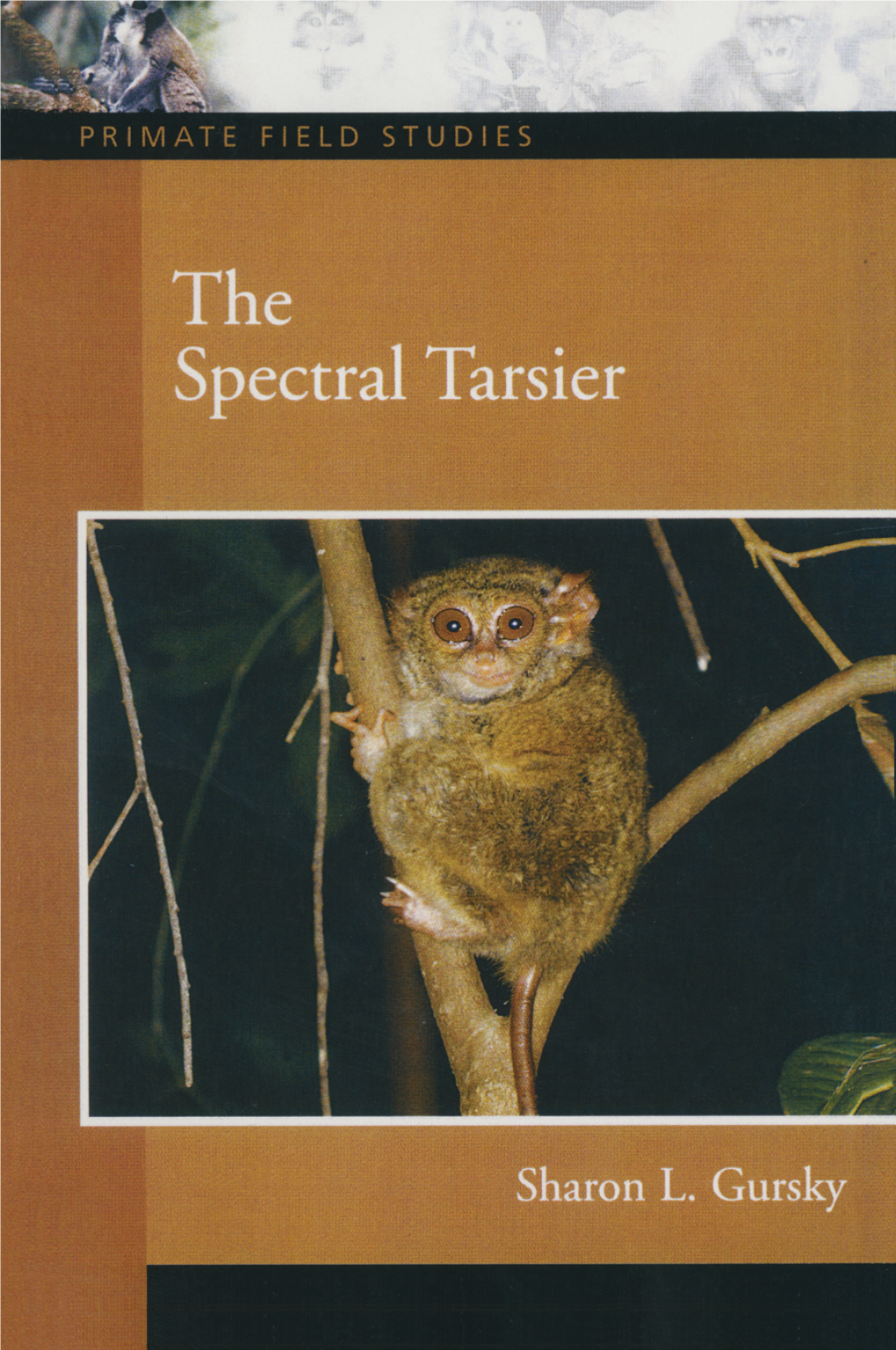 The Spectral Tarsier Sharon L