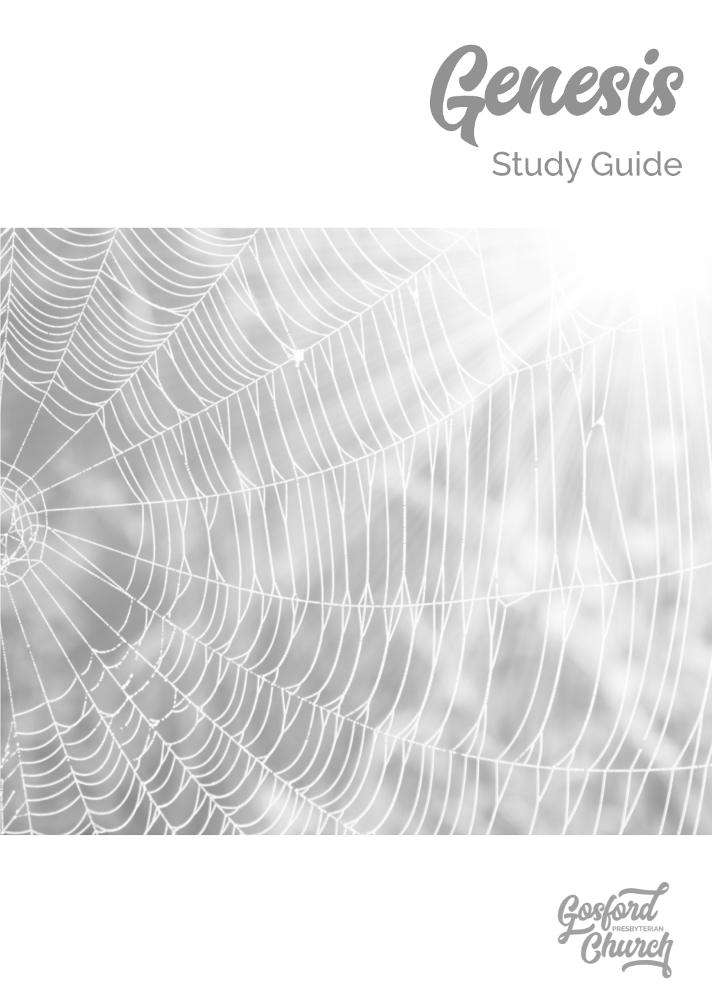 Genesis Study Guide the Book of Genesis Is One of the Most Important, Useful, Misunderstood and Misused Books of the Bible