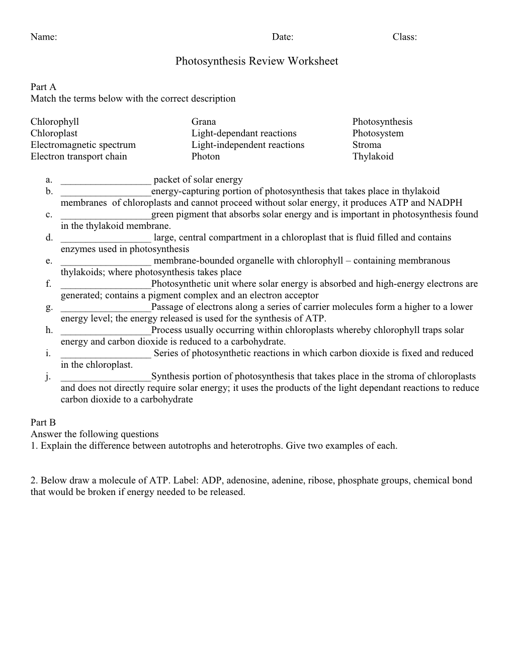 Photosynthesis Review Worksheet