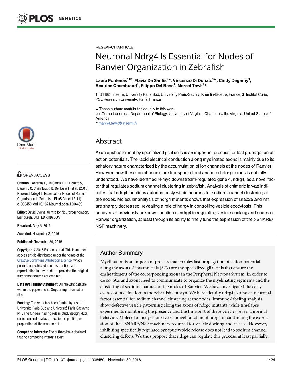Neuronal Ndrg4 Is Essential for Nodes of Ranvier Organization in Zebrafish