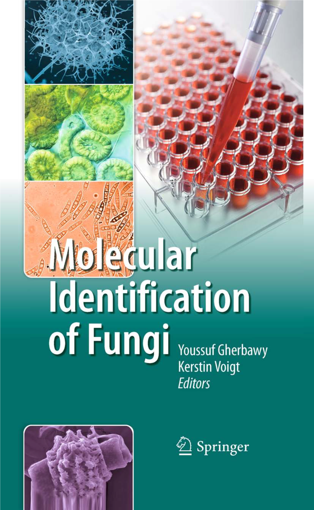 Molecular Identification of Fungi