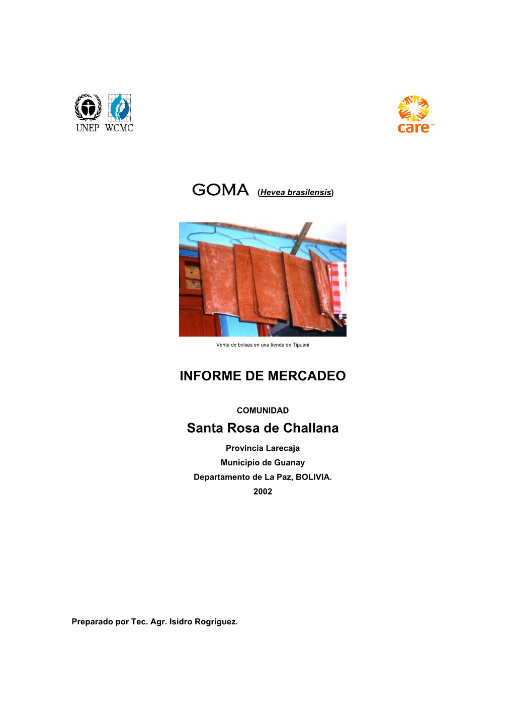 INFORME DE MERCADEO Santa Rosa De Challana