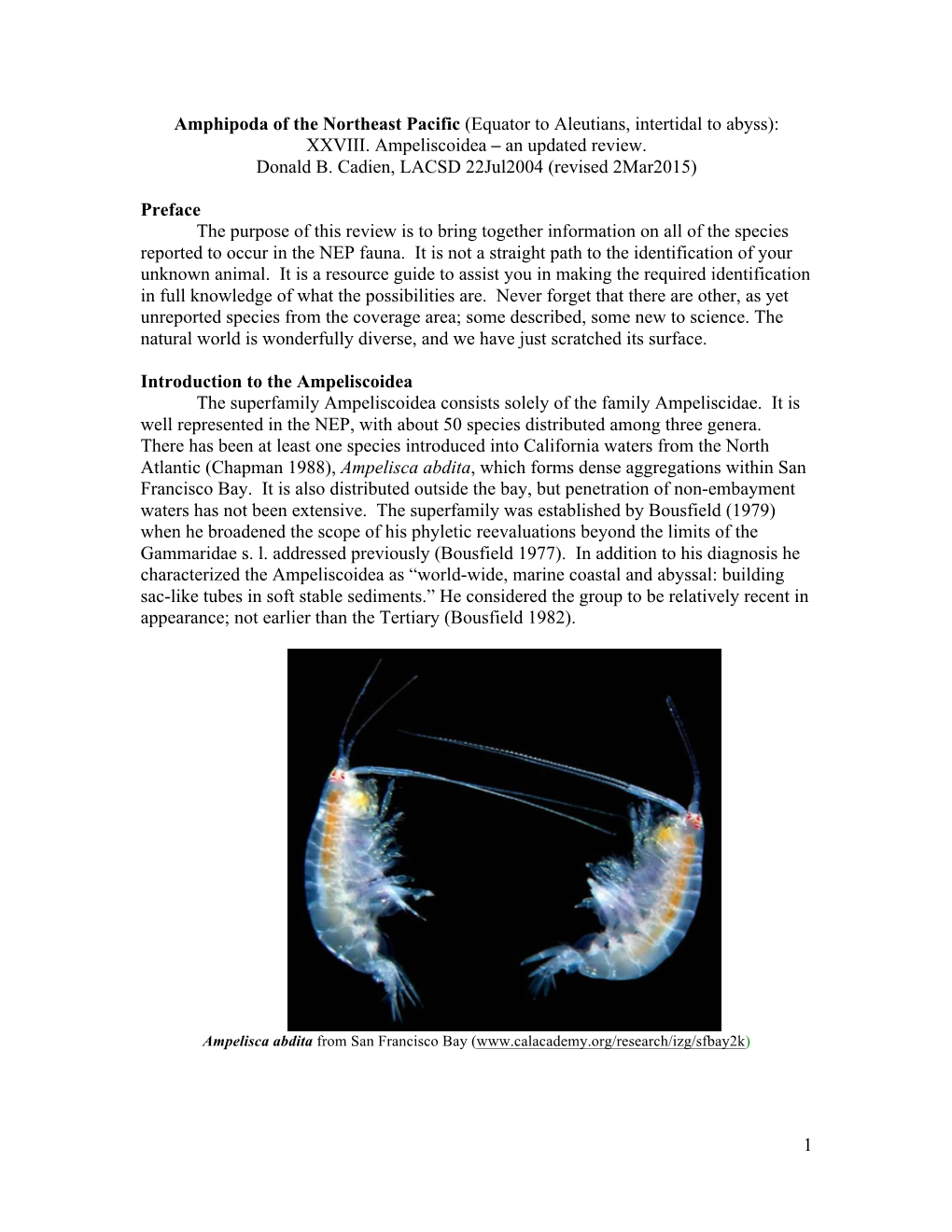 Amphipoda of the NEP Ampeliscoidea.Pdf