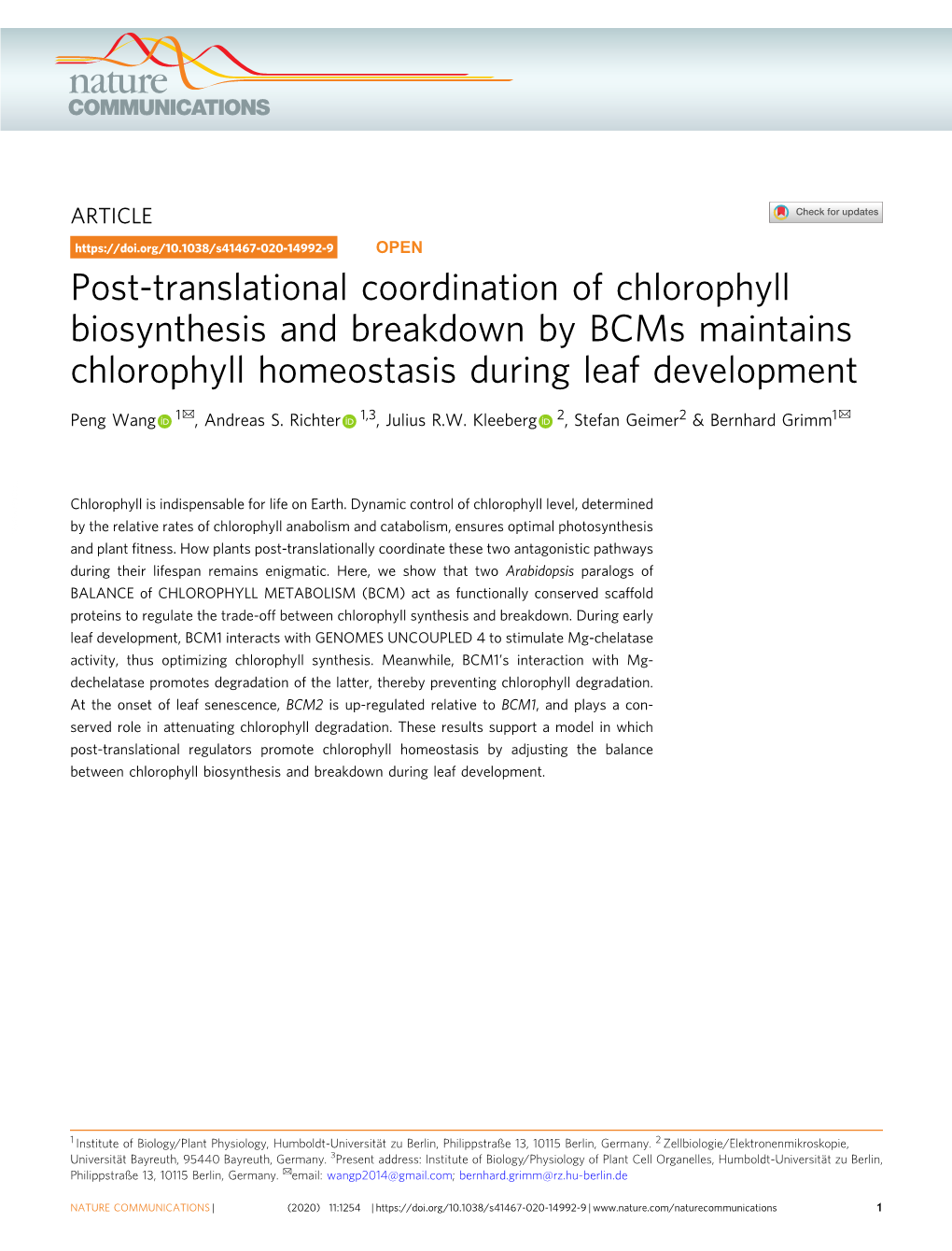 Post-Translational Coordination of Chlorophyll Biosynthesis And