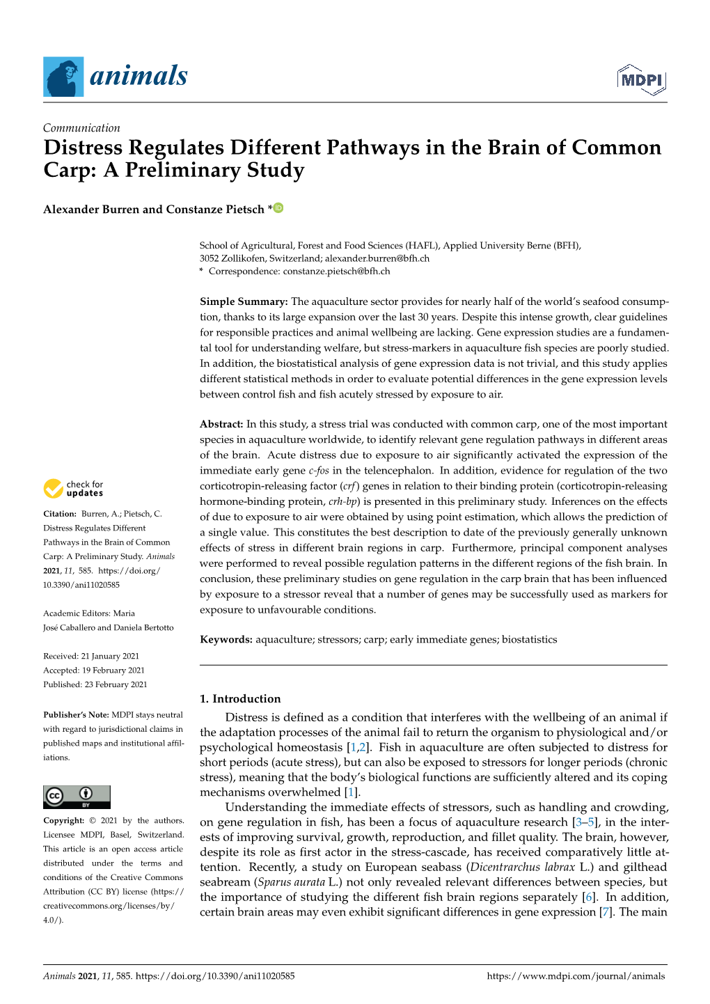 Distress Regulates Different Pathways in the Brain of Common Carp: a Preliminary Study