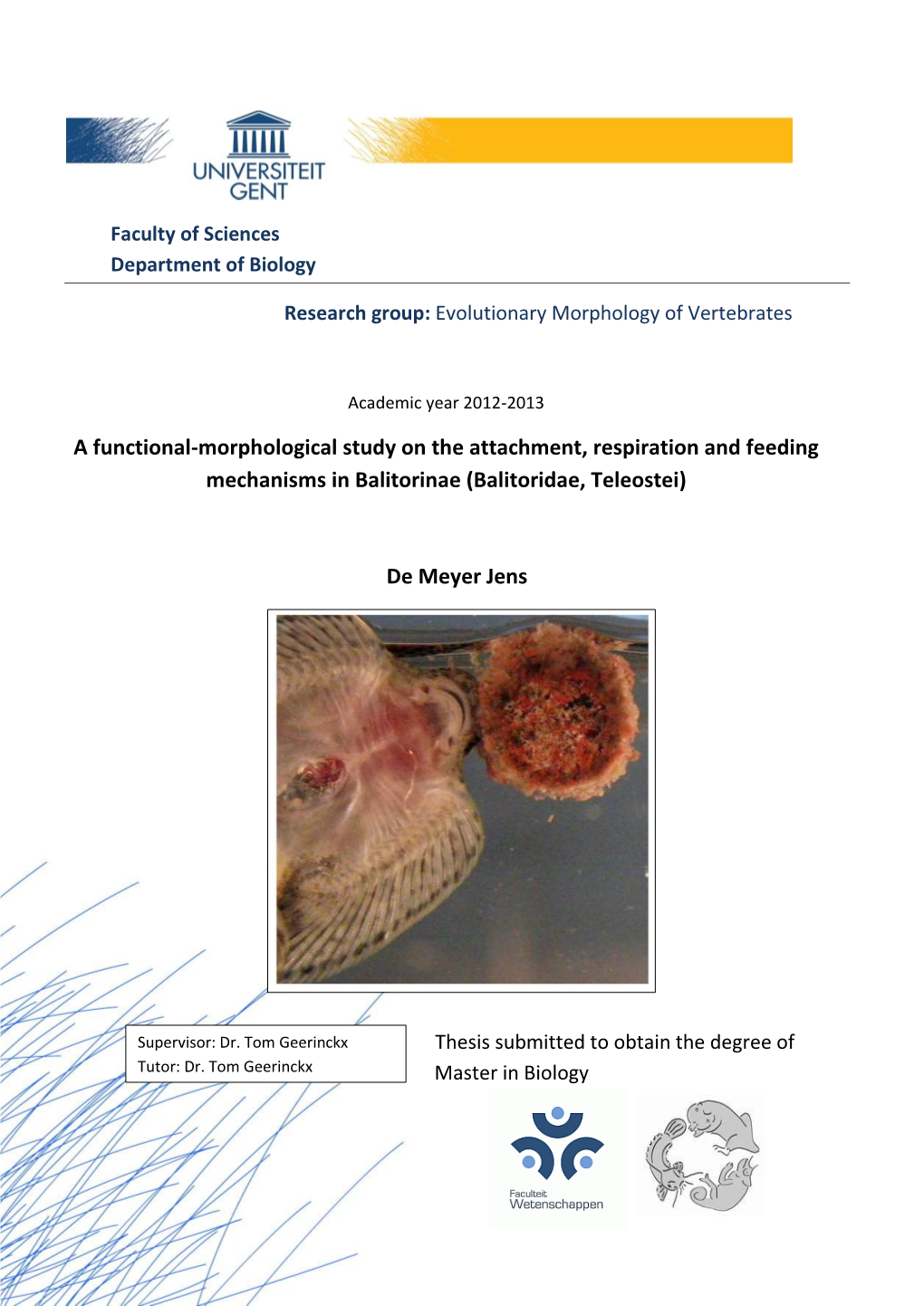 A Functional-Morphological Study on the Attachment, Respiration and Feeding Mechanisms in Balitorinae (Balitoridae, Teleostei)