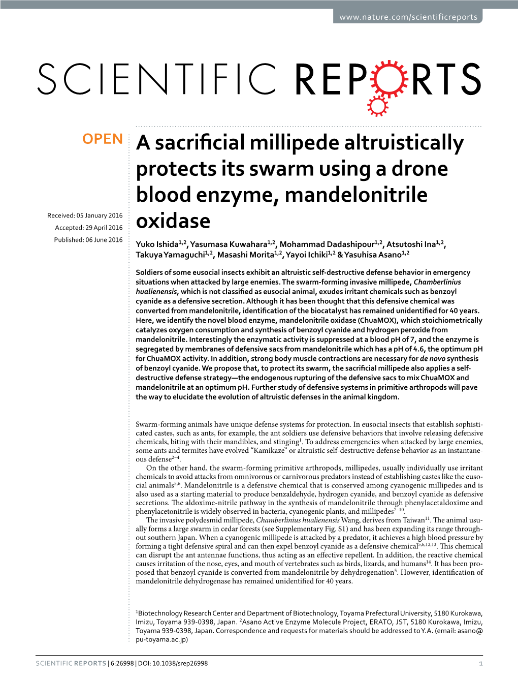 A Sacrificial Millipede Altruistically Protects Its Swarm Using a Drone