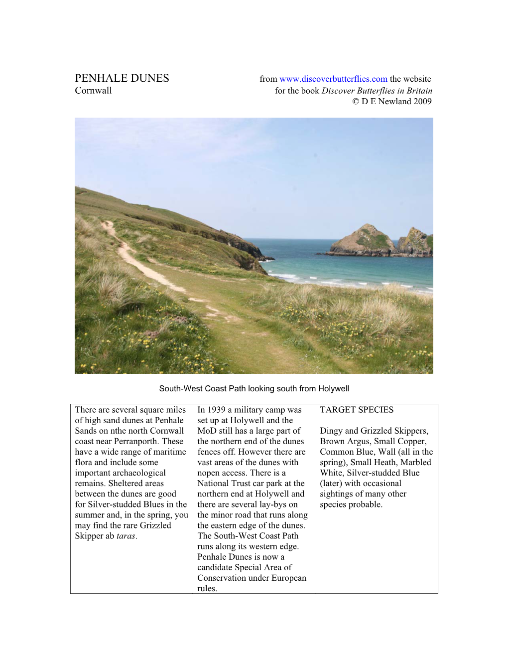 PENHALE DUNES from the Website Cornwall for the Book Discover Butterflies in Britain © D E Newland 2009