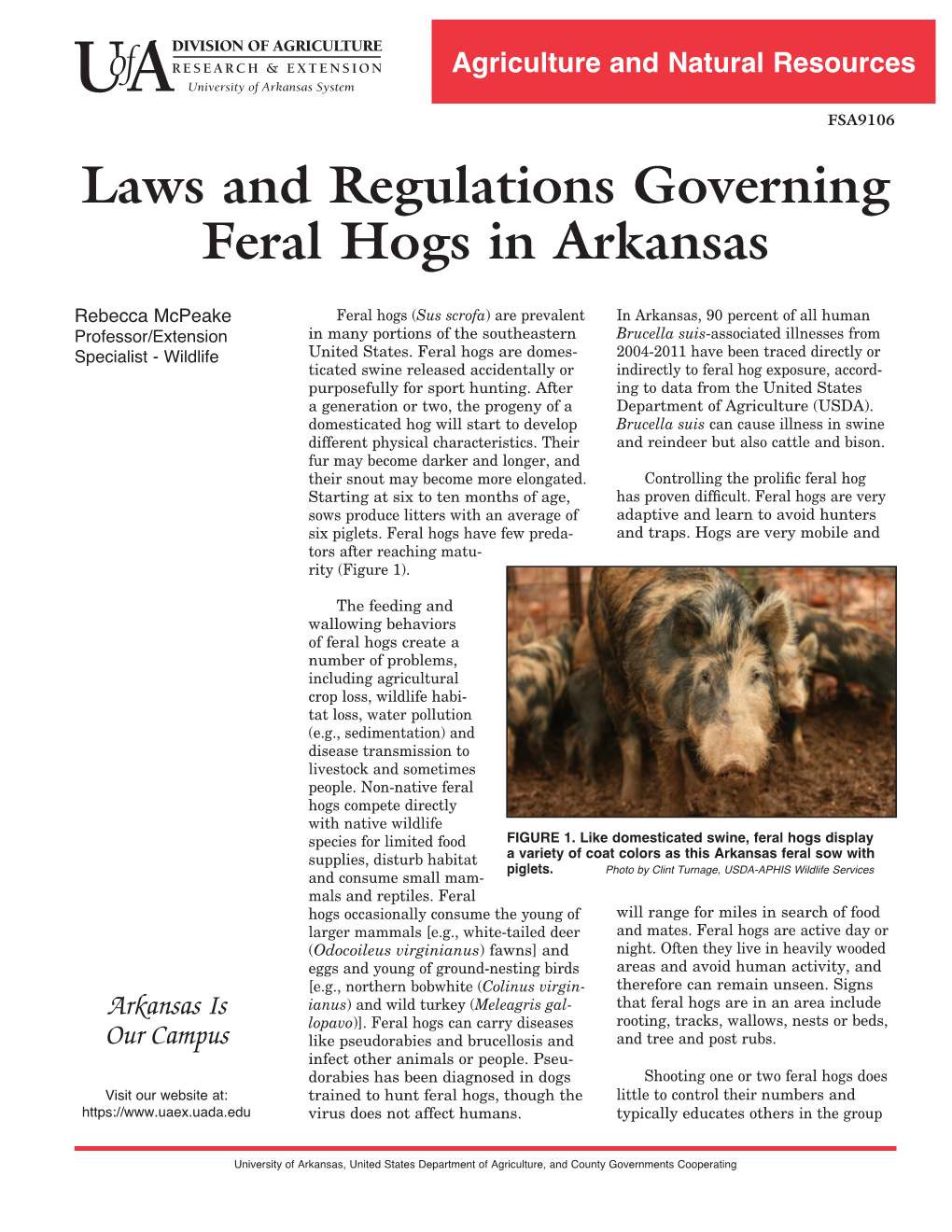 Laws and Regulations Governing Feral Hogs in Arkansas