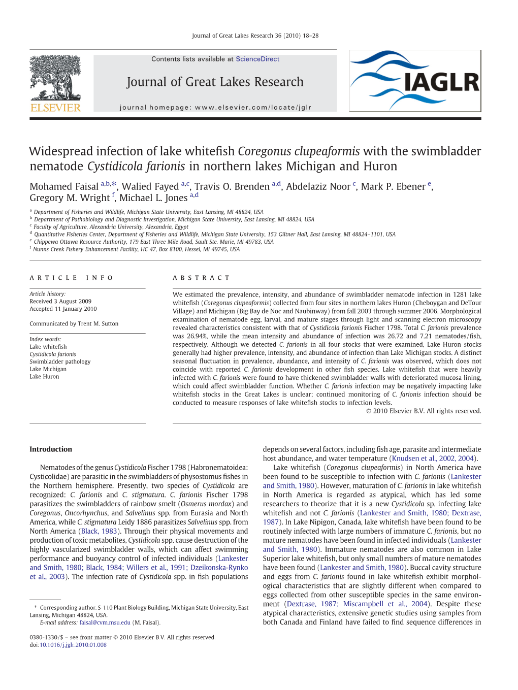 Widespread Infection of Lake Whitefish Coregonus Clupeaformis with The