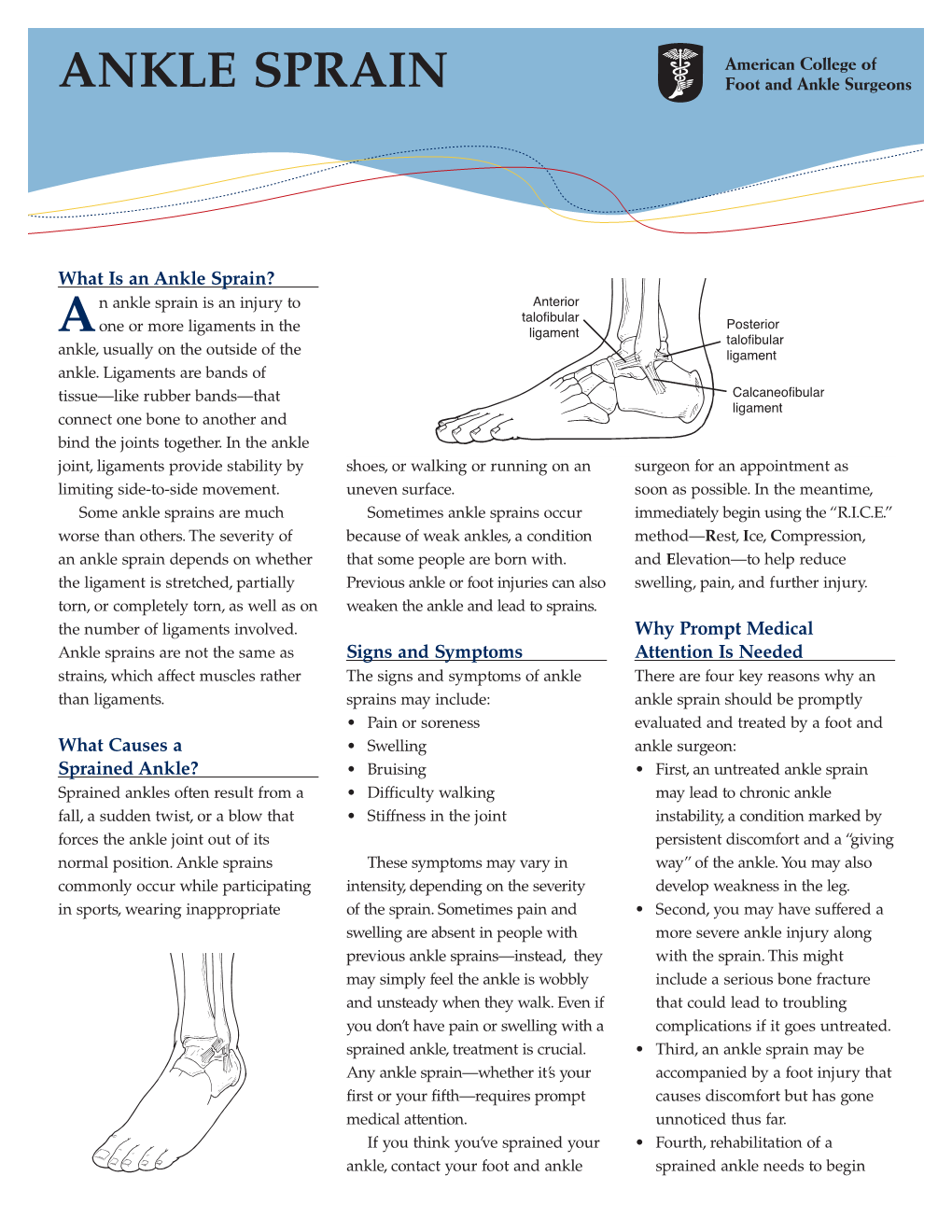 Ankle Sprain