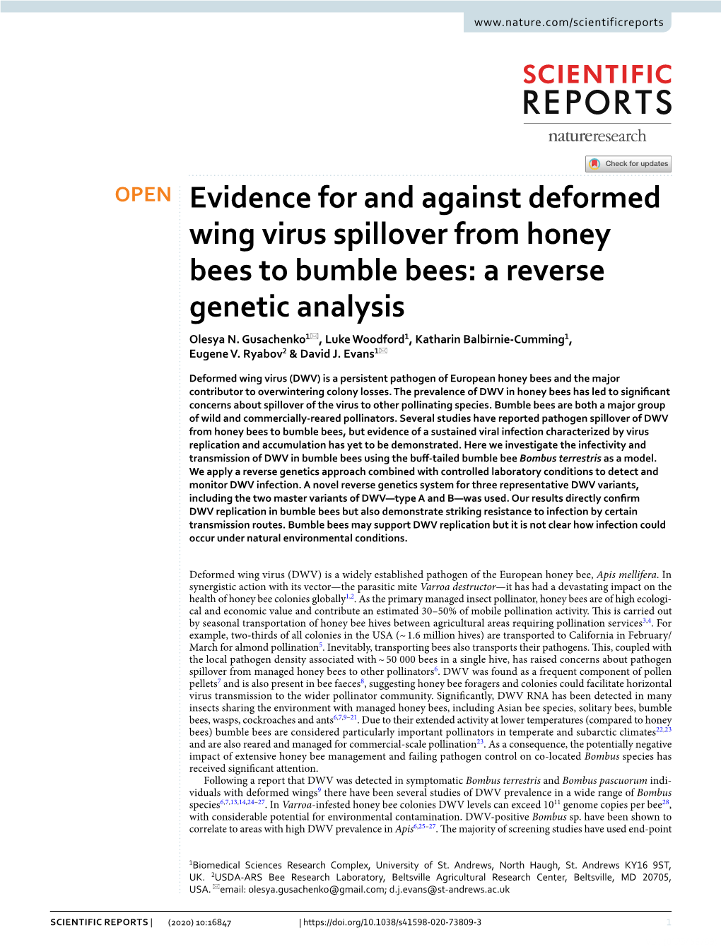 Evidence for and Against Deformed Wing Virus Spillover from Honey Bees to Bumble Bees: a Reverse Genetic Analysis Olesya N