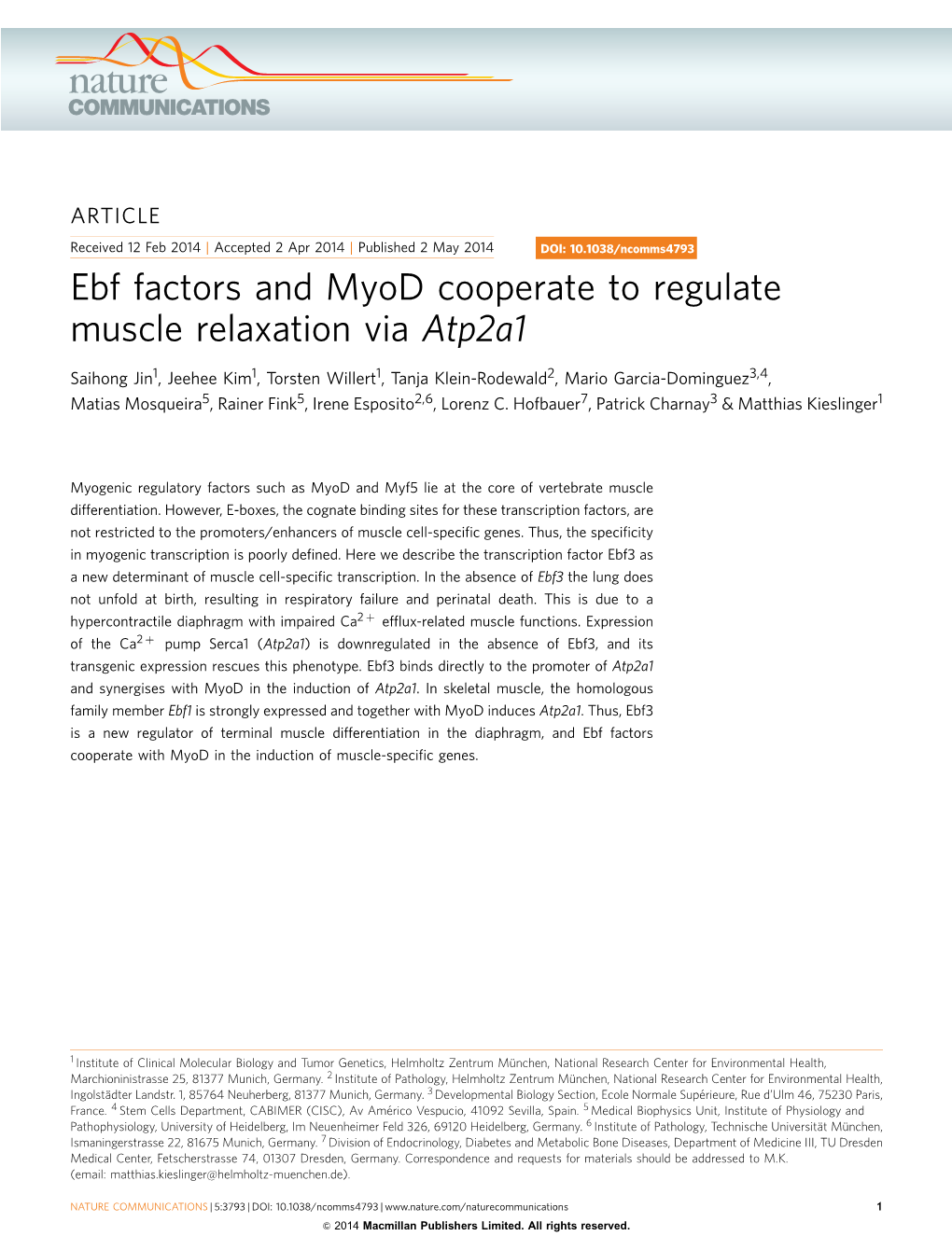 Ebf Factors and Myod Cooperate to Regulate Muscle Relaxation Via Atp2a1