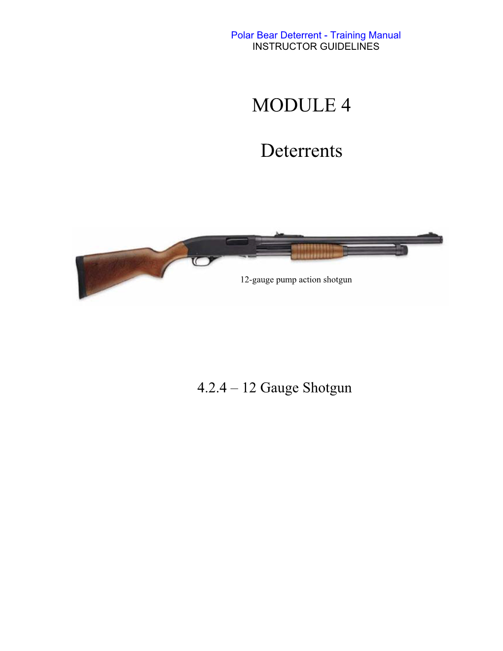 MODULE 4 Deterrents