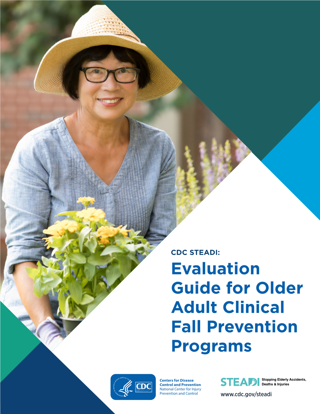 Evaluation Guide for Older Adult Clinical Fall Prevention Programs