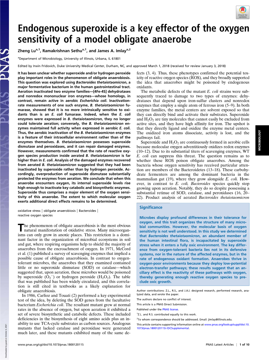 Endogenous Superoxide Is a Key Effector of the Oxygen Sensitivity of A