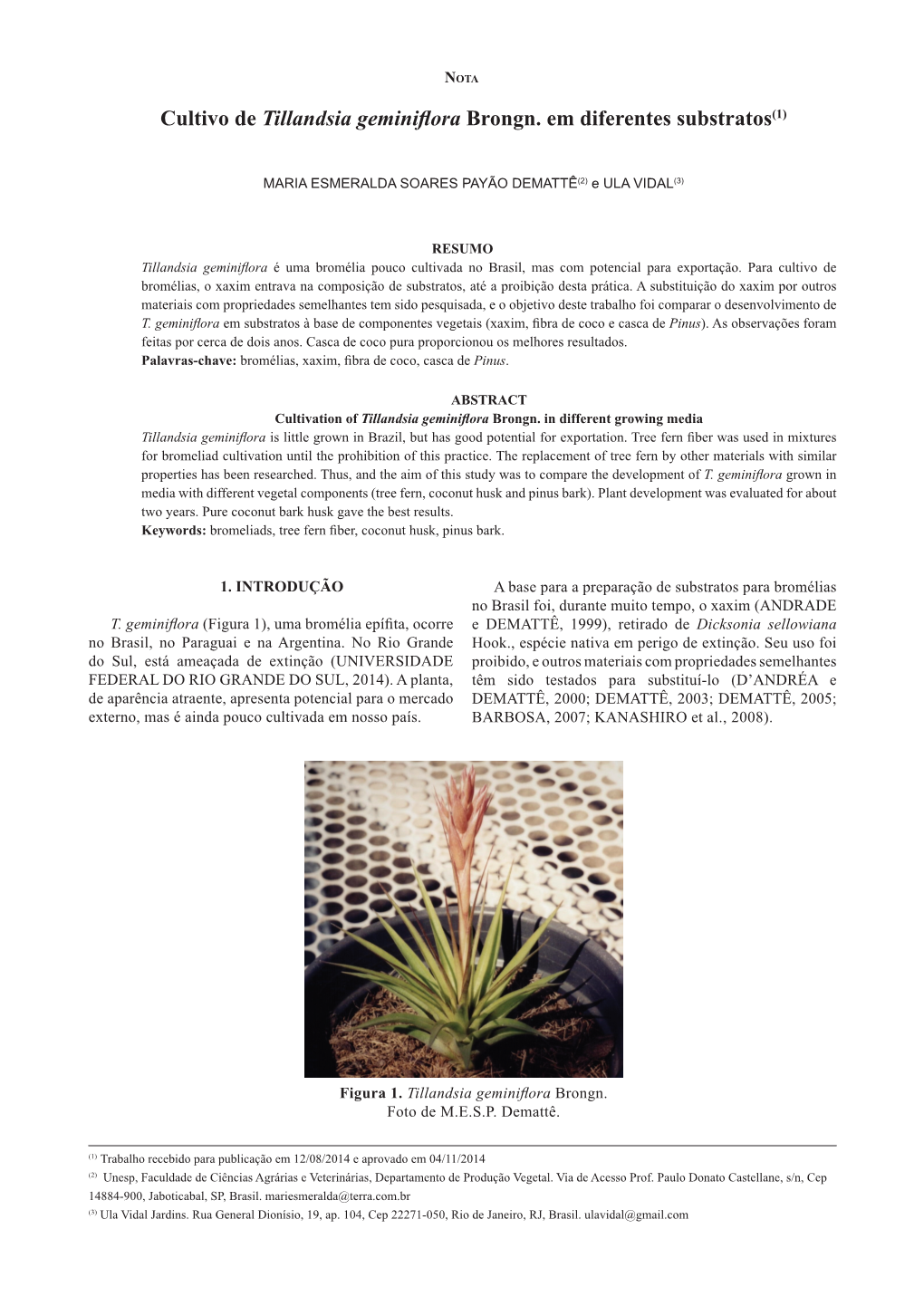 Cultivo De Tillandsia Geminiflora Brongn. Em Diferentes Substratos(1)