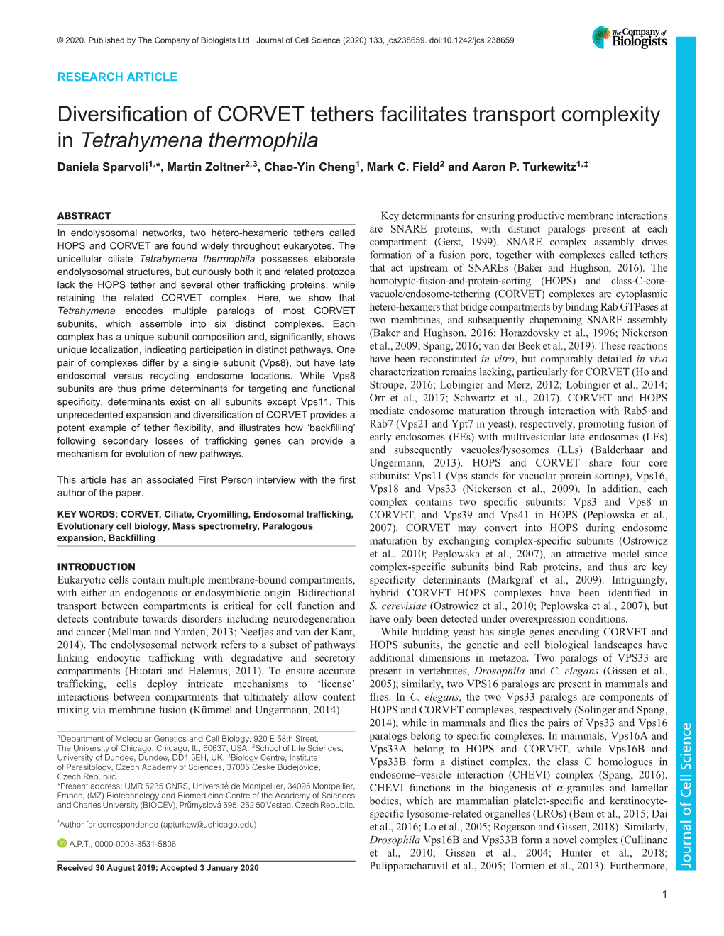 Diversification of CORVET Tethers Facilitates Transport Complexity in Tetrahymena Thermophila Daniela Sparvoli1,*, Martin Zoltner2,3, Chao-Yin Cheng1, Mark C