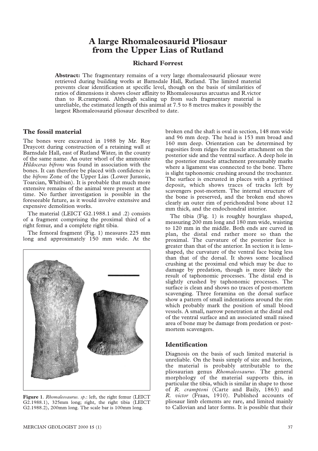 A Large Rhomaleosaurid Pliosaur from the Upper Lias of Rutland Richard Forrest