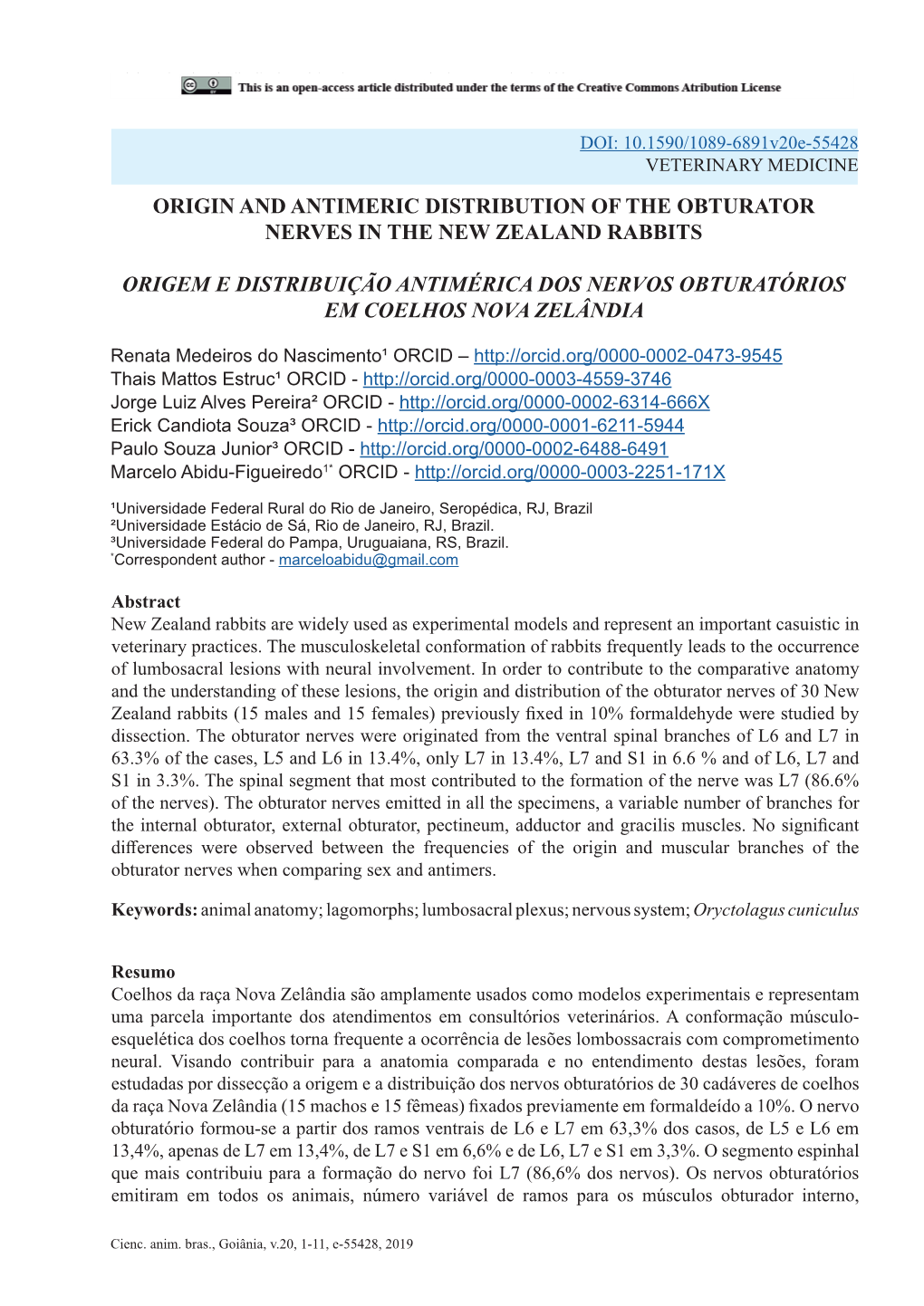 Origin and Antimeric Distribution of the Obturator Nerves in the New Zealand Rabbits Origem E Distribuição Antimérica Dos