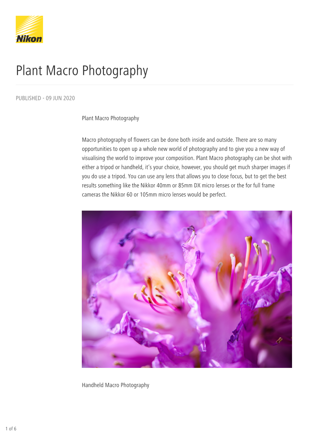 Plant Macro Photography