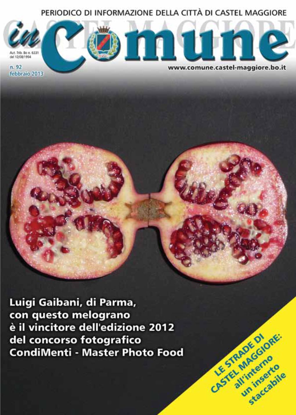 Elezioni Politiche Del 24-25 Febbraio 03 > Speciale Periodico Di Informazione Guida Al Voto: Quando, Dove, Chi Del Comune Di Castel Maggiore Elezioni Politiche Aut