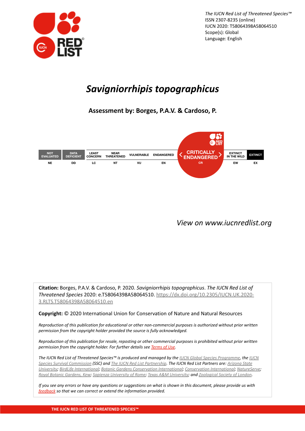 Savigniorrhipis Topographicus