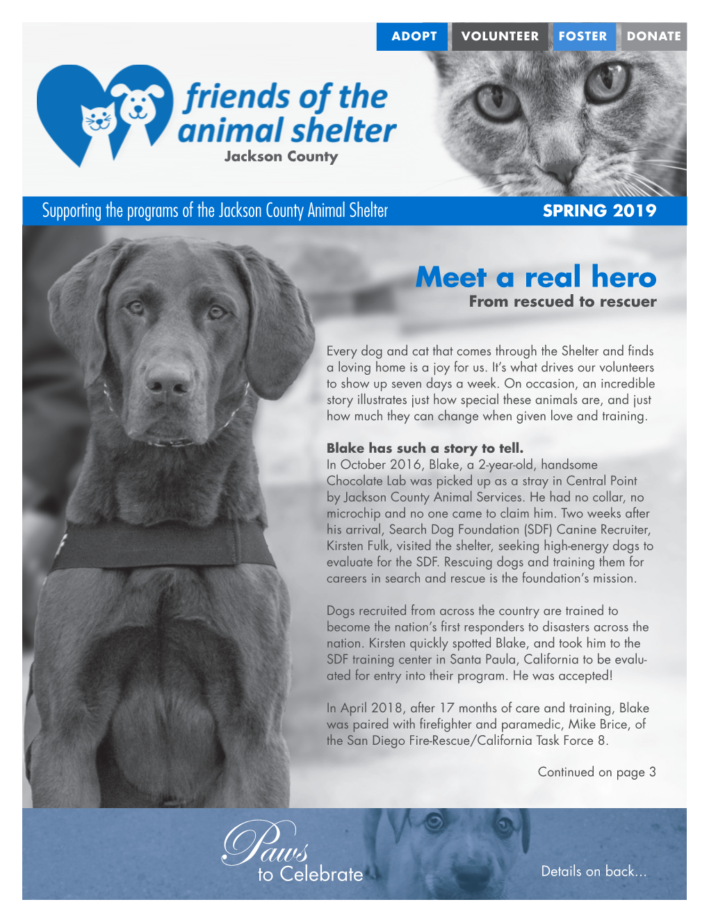 Meet a Real Hero from Rescued to Rescuer