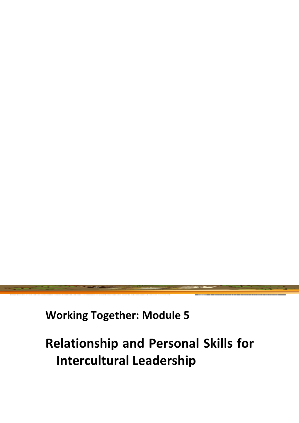 Relationship and Personal Skills for Intercultural Leadership