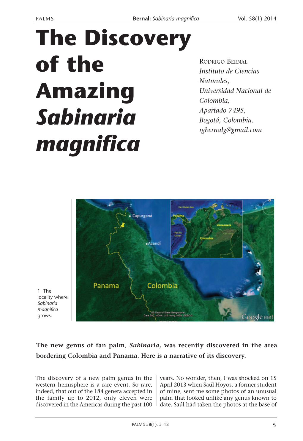 The Discovery of the Amazing Sabinaria Magnifica