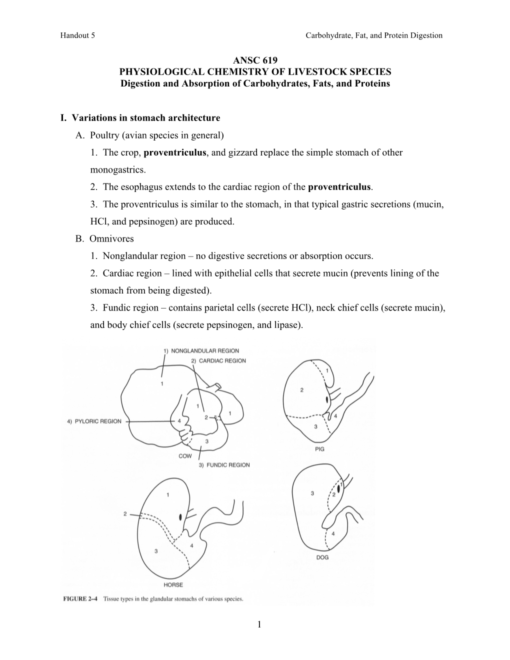 Digestion of CHO, Fats, and Proteins