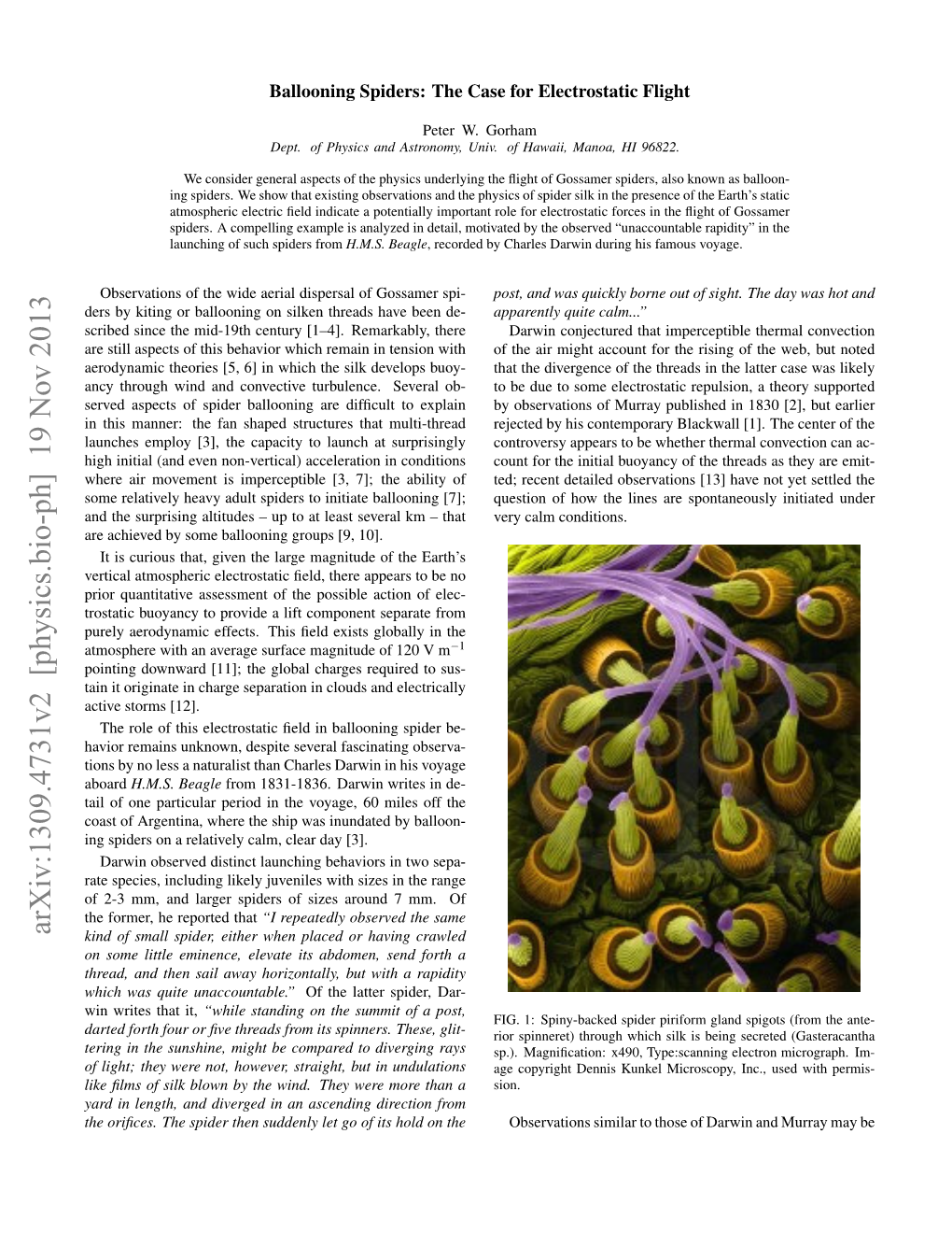 Ballooning Spiders: the Case for Electrostatic Flight