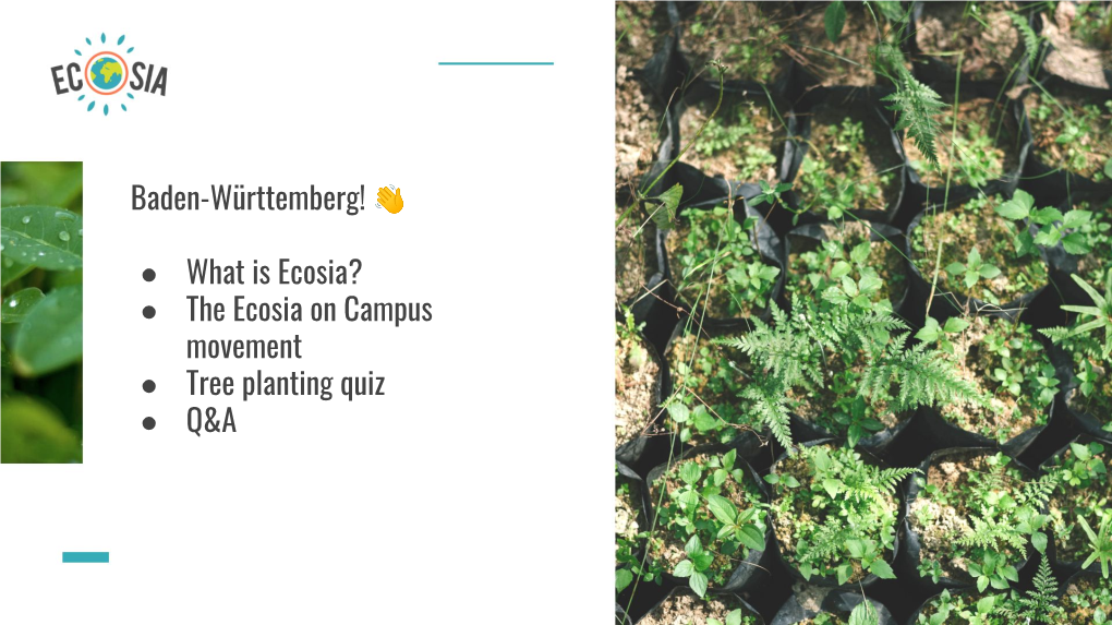 The Ecosia on Campus Movement Tree Planting Quiz Q&A