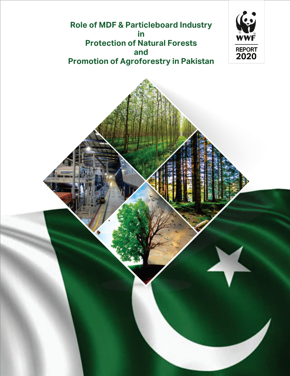 Role of MDF & Particleboard Industry in Protection of Natural Forests and Promotion of Agroforestry in Pakistan