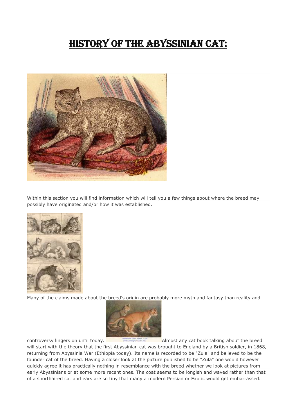 The-Abyssinian-Cat.Pdf