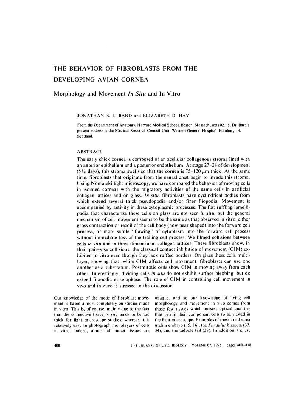 The Behavior of Fibroblasts from the Developing Avian Cornea