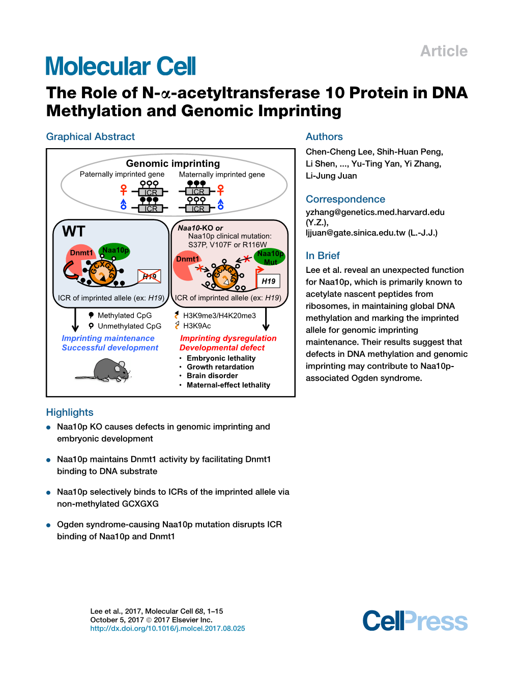Acetyltransferase 10 Protein in DNA Methylation and Genomic Imprinting