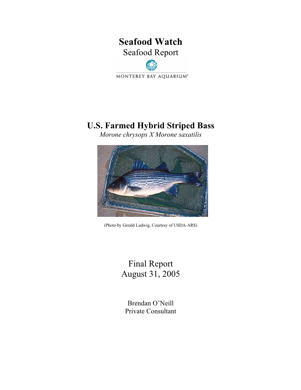 Seafood Watch Seafood Report