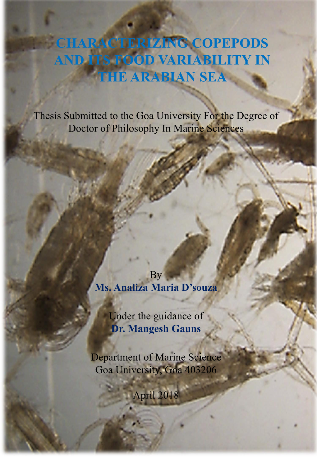 Characterizing Copepods and Its Food Variability in the Arabian Sea