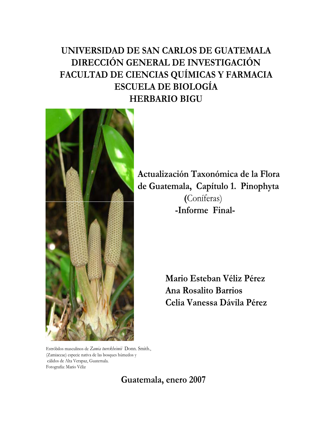 Universidad De San Carlos De Guatemala Dirección General De Investigación Facultad De Ciencias Químicas Y Farmacia Escuela De Biología Herbario Bigu